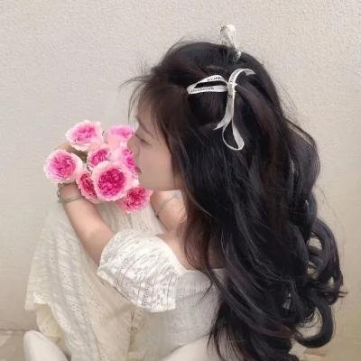 以法之名
